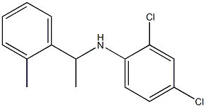 2,4-dichloro-N-[1-(2-methylphenyl)ethyl]aniline Struktur