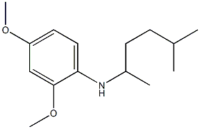 2,4-dimethoxy-N-(5-methylhexan-2-yl)aniline Struktur