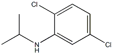 2,5-dichloro-N-(propan-2-yl)aniline Struktur