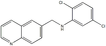 2,5-dichloro-N-(quinolin-6-ylmethyl)aniline Struktur