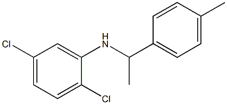 2,5-dichloro-N-[1-(4-methylphenyl)ethyl]aniline Struktur