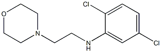 2,5-dichloro-N-[2-(morpholin-4-yl)ethyl]aniline Struktur