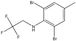 2,6-dibromo-4-methyl-N-(2,2,2-trifluoroethyl)aniline Struktur