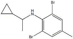 2,6-dibromo-N-(1-cyclopropylethyl)-4-methylaniline Struktur