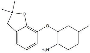 2-[(2,2-dimethyl-2,3-dihydro-1-benzofuran-7-yl)oxy]-4-methylcyclohexan-1-amine Struktur