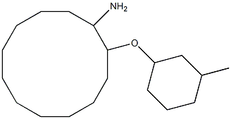 2-[(3-methylcyclohexyl)oxy]cyclododecan-1-amine Struktur