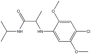 2-[(4-chloro-2,5-dimethoxyphenyl)amino]-N-(propan-2-yl)propanamide Struktur