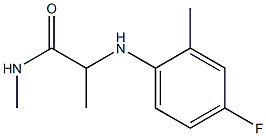 2-[(4-fluoro-2-methylphenyl)amino]-N-methylpropanamide Struktur