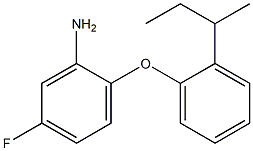 2-[2-(butan-2-yl)phenoxy]-5-fluoroaniline Struktur