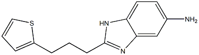 2-[3-(thiophen-2-yl)propyl]-1H-1,3-benzodiazol-5-amine Struktur