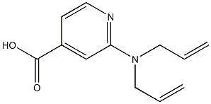 2-[bis(prop-2-en-1-yl)amino]pyridine-4-carboxylic acid Struktur