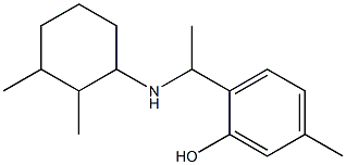 2-{1-[(2,3-dimethylcyclohexyl)amino]ethyl}-5-methylphenol Struktur