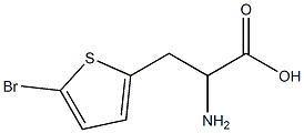 2-amino-3-(5-bromothien-2-yl)propanoic acid Struktur