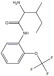 2-amino-3-methyl-N-[2-(trifluoromethoxy)phenyl]pentanamide Struktur