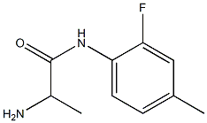 2-amino-N-(2-fluoro-4-methylphenyl)propanamide Struktur