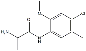 2-amino-N-(4-chloro-2-methoxy-5-methylphenyl)propanamide Struktur