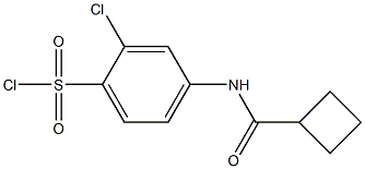 2-chloro-4-cyclobutaneamidobenzene-1-sulfonyl chloride Struktur