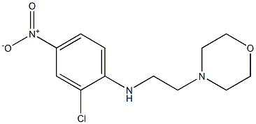 2-chloro-N-[2-(morpholin-4-yl)ethyl]-4-nitroaniline Struktur