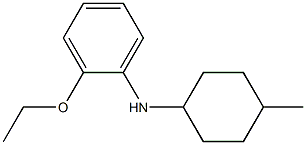 2-ethoxy-N-(4-methylcyclohexyl)aniline Struktur