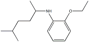 2-ethoxy-N-(5-methylhexan-2-yl)aniline Struktur