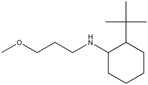 2-tert-butyl-N-(3-methoxypropyl)cyclohexan-1-amine Struktur