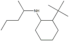 2-tert-butyl-N-(pentan-2-yl)cyclohexan-1-amine Struktur