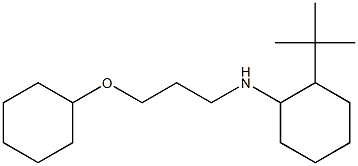 2-tert-butyl-N-[3-(cyclohexyloxy)propyl]cyclohexan-1-amine Struktur