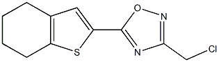 3-(chloromethyl)-5-(4,5,6,7-tetrahydro-1-benzothiophen-2-yl)-1,2,4-oxadiazole Struktur