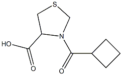 3-(cyclobutylcarbonyl)-1,3-thiazolidine-4-carboxylic acid Struktur