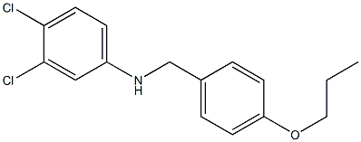 3,4-dichloro-N-[(4-propoxyphenyl)methyl]aniline Struktur