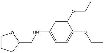 3,4-diethoxy-N-(oxolan-2-ylmethyl)aniline Struktur