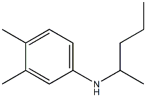 3,4-dimethyl-N-(pentan-2-yl)aniline Struktur