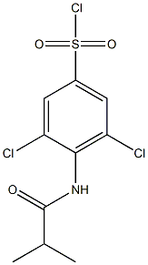 3,5-dichloro-4-(2-methylpropanamido)benzene-1-sulfonyl chloride Struktur