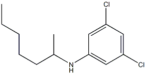 3,5-dichloro-N-(heptan-2-yl)aniline Struktur