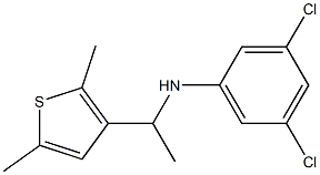 3,5-dichloro-N-[1-(2,5-dimethylthiophen-3-yl)ethyl]aniline Struktur