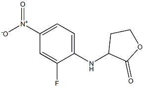 3-[(2-fluoro-4-nitrophenyl)amino]oxolan-2-one Struktur