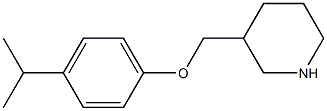 3-[4-(propan-2-yl)phenoxymethyl]piperidine Struktur