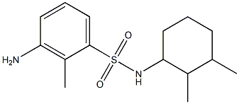 3-amino-N-(2,3-dimethylcyclohexyl)-2-methylbenzene-1-sulfonamide Struktur