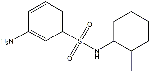 3-amino-N-(2-methylcyclohexyl)benzenesulfonamide Struktur