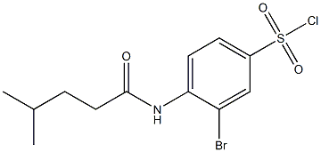 3-bromo-4-(4-methylpentanamido)benzene-1-sulfonyl chloride Struktur