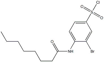 3-bromo-4-octanamidobenzene-1-sulfonyl chloride Struktur