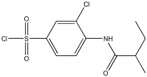 3-chloro-4-(2-methylbutanamido)benzene-1-sulfonyl chloride Struktur