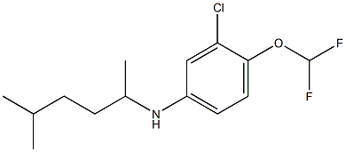 3-chloro-4-(difluoromethoxy)-N-(5-methylhexan-2-yl)aniline Struktur