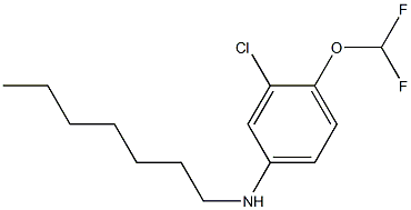 3-chloro-4-(difluoromethoxy)-N-heptylaniline Struktur