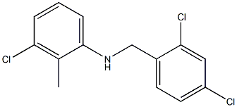 3-chloro-N-[(2,4-dichlorophenyl)methyl]-2-methylaniline Struktur