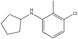 3-chloro-N-cyclopentyl-2-methylaniline Struktur