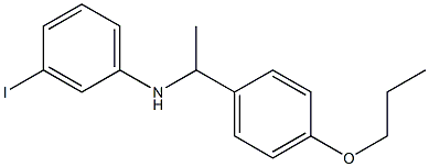 3-iodo-N-[1-(4-propoxyphenyl)ethyl]aniline Struktur