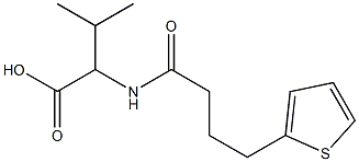 3-methyl-2-[4-(thiophen-2-yl)butanamido]butanoic acid Struktur