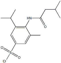 3-methyl-4-(3-methylbutanamido)-5-(propan-2-yl)benzene-1-sulfonyl chloride Struktur