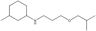 3-methyl-N-[3-(2-methylpropoxy)propyl]cyclohexan-1-amine Struktur